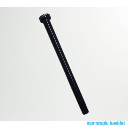 Bianchi R0013D Model İçin Arka Sokma Mil 160*12mm Bianchi R0013D Model İçin Arka Sokma Mil 160*12mm