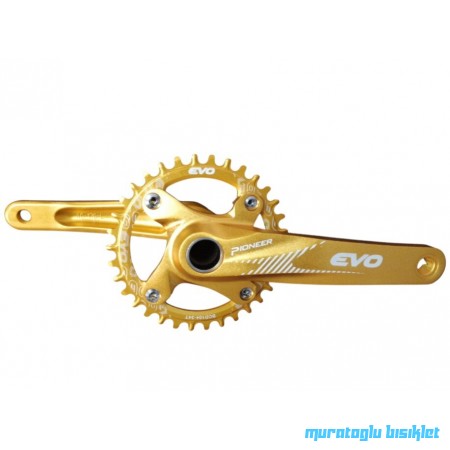 EVO Hallowtech Aynakol 34 Dişli - Gold EVO Hallowtech Aynakol 34 Dişli - Gold