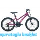 20J CARRARO FORCE 201 ÇOCUK DAĞ BİSİKLETİ - MAT MÜRDÜM PEMBE