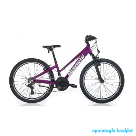 24J BİANCHI XR24.3 VB 21V DAĞ BİSİKLETİ - MÜRDÜM/GRİ - 31