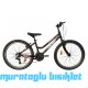 24J RUUT LINCY BAYAN DAĞ BİSİKLETİ - SİYAH PEMBE - 30