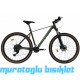 29J RUUT PASSION DAĞ BİSİKLETİ - MAT PETROL YEŞİL BRONZ - 43