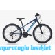 24J BİANCHI XR24.2 21V VB DAĞ BİSİKLETİ - MAVİ AÇIK MAVİ - 31 KADRO