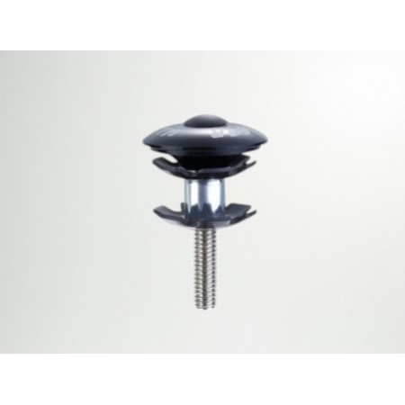 TAIWAN AMÖRTİSÖR YILDIZ