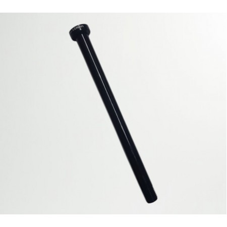 Bianchi R0013D Model İçin Arka Sokma Mil 160*12mm