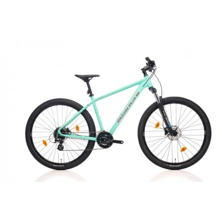 29J BİANCHİ MAGMA 29.1 ALTUS 24V HD DAĞ BİSİKLETİ - CELESTE SİLVER - 48 KADRO